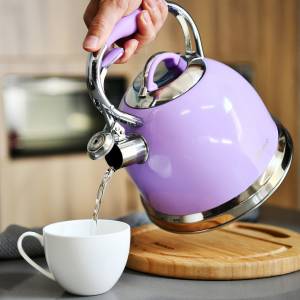 Чайник FISSMAN FELICITY 2,6 л фиолетовый